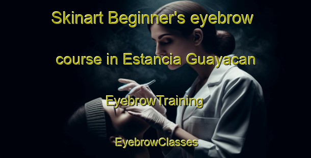 Skinart Beginner's eyebrow course in Estancia Guayacan | EyebrowTraining | EyebrowClasses | SkinartTraining-Argentina