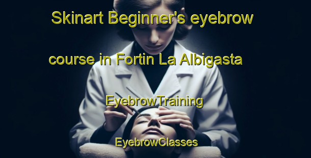 Skinart Beginner's eyebrow course in Fortin La Albigasta | EyebrowTraining | EyebrowClasses | SkinartTraining-Argentina