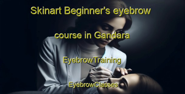 Skinart Beginner's eyebrow course in Gandara | EyebrowTraining | EyebrowClasses | SkinartTraining-Argentina