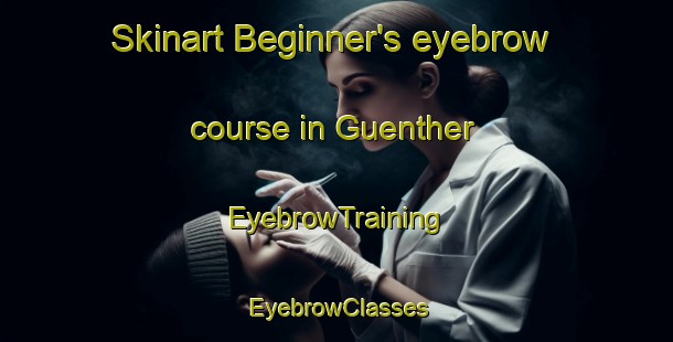 Skinart Beginner's eyebrow course in Guenther | EyebrowTraining | EyebrowClasses | SkinartTraining-Argentina