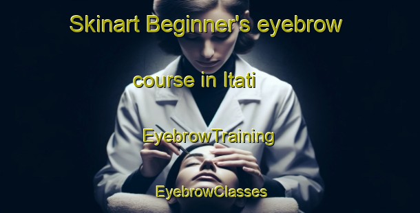 Skinart Beginner's eyebrow course in Itati | EyebrowTraining | EyebrowClasses | SkinartTraining-Argentina