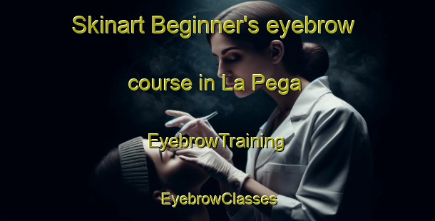 Skinart Beginner's eyebrow course in La Pega | EyebrowTraining | EyebrowClasses | SkinartTraining-Argentina