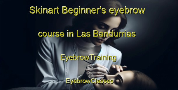 Skinart Beginner's eyebrow course in Las Bandurrias | EyebrowTraining | EyebrowClasses | SkinartTraining-Argentina