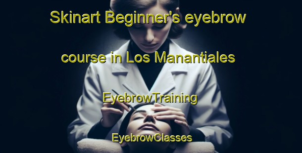 Skinart Beginner's eyebrow course in Los Manantiales | EyebrowTraining | EyebrowClasses | SkinartTraining-Argentina
