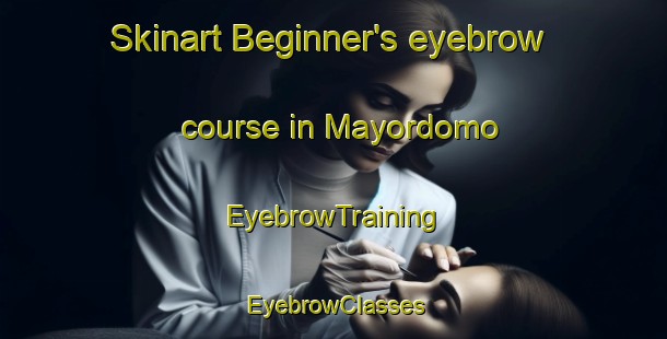Skinart Beginner's eyebrow course in Mayordomo | EyebrowTraining | EyebrowClasses | SkinartTraining-Argentina