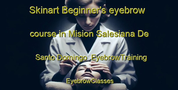 Skinart Beginner's eyebrow course in Mision Salesiana De Santo Domingo | EyebrowTraining | EyebrowClasses | SkinartTraining-Argentina