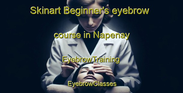 Skinart Beginner's eyebrow course in Napenay | EyebrowTraining | EyebrowClasses | SkinartTraining-Argentina