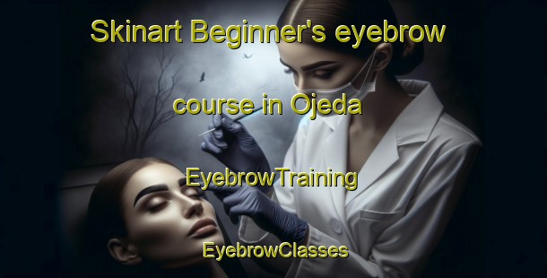 Skinart Beginner's eyebrow course in Ojeda | EyebrowTraining | EyebrowClasses | SkinartTraining-Argentina