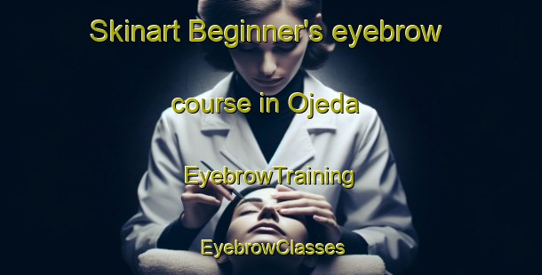 Skinart Beginner's eyebrow course in Ojeda | EyebrowTraining | EyebrowClasses | SkinartTraining-Argentina