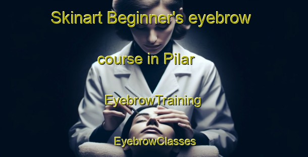 Skinart Beginner's eyebrow course in Pilar | EyebrowTraining | EyebrowClasses | SkinartTraining-Argentina