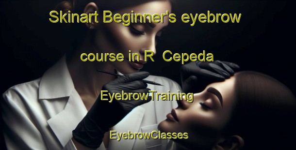 Skinart Beginner's eyebrow course in R  Cepeda | EyebrowTraining | EyebrowClasses | SkinartTraining-Argentina