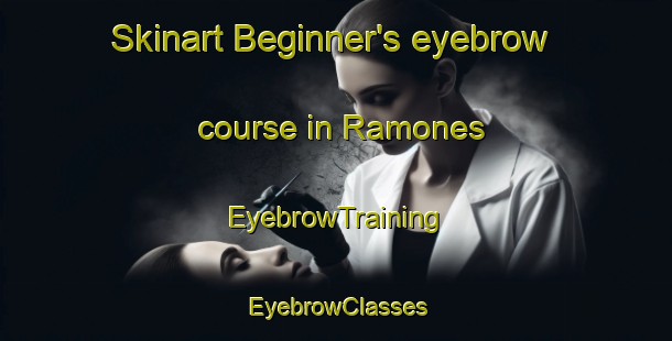 Skinart Beginner's eyebrow course in Ramones | EyebrowTraining | EyebrowClasses | SkinartTraining-Argentina