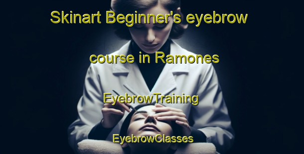 Skinart Beginner's eyebrow course in Ramones | EyebrowTraining | EyebrowClasses | SkinartTraining-Argentina