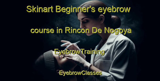 Skinart Beginner's eyebrow course in Rincon De Nogoya | EyebrowTraining | EyebrowClasses | SkinartTraining-Argentina