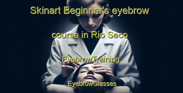 Skinart Beginner's eyebrow course in Rio Seco | EyebrowTraining | EyebrowClasses | SkinartTraining-Argentina