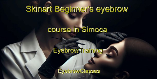 Skinart Beginner's eyebrow course in Simoca | EyebrowTraining | EyebrowClasses | SkinartTraining-Argentina