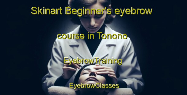 Skinart Beginner's eyebrow course in Tonono | EyebrowTraining | EyebrowClasses | SkinartTraining-Argentina