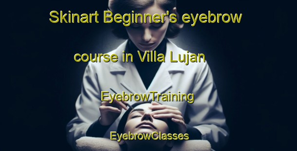 Skinart Beginner's eyebrow course in Villa Lujan | EyebrowTraining | EyebrowClasses | SkinartTraining-Argentina