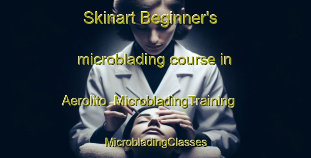 Skinart Beginner's microblading course in Aerolito | #MicrobladingTraining #MicrobladingClasses #SkinartTraining-Argentina