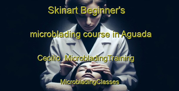 Skinart Beginner's microblading course in Aguada Cecilio | #MicrobladingTraining #MicrobladingClasses #SkinartTraining-Argentina