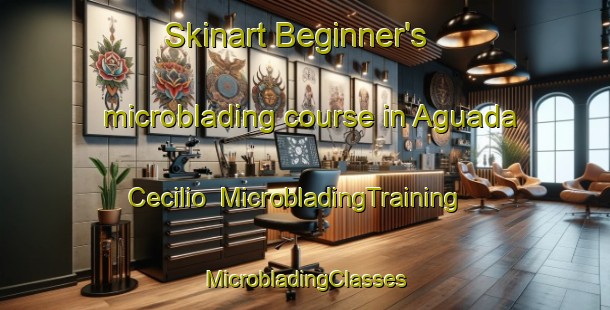 Skinart Beginner's microblading course in Aguada Cecilio | #MicrobladingTraining #MicrobladingClasses #SkinartTraining-Argentina