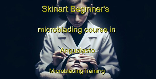 Skinart Beginner's microblading course in Angualasto | #MicrobladingTraining #MicrobladingClasses #SkinartTraining-Argentina