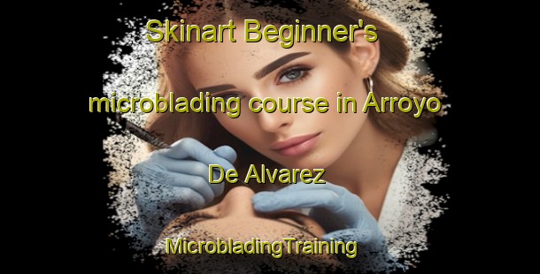 Skinart Beginner's microblading course in Arroyo De Alvarez | MicrobladingTraining | MicrobladingClasses | SkinartTraining-Argentina