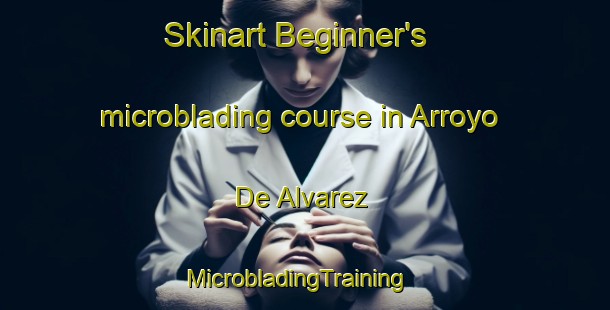 Skinart Beginner's microblading course in Arroyo De Alvarez | MicrobladingTraining | MicrobladingClasses | SkinartTraining-Argentina