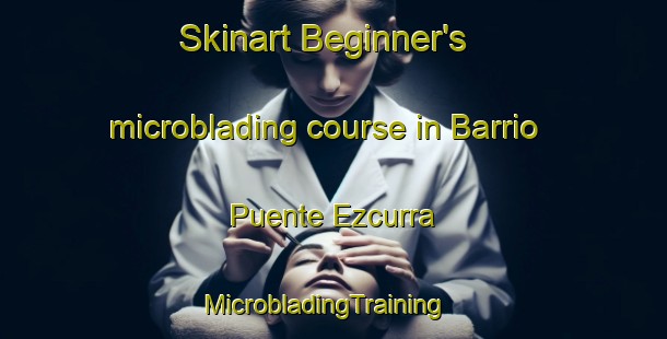 Skinart Beginner's microblading course in Barrio Puente Ezcurra | MicrobladingTraining | MicrobladingClasses | SkinartTraining-Argentina