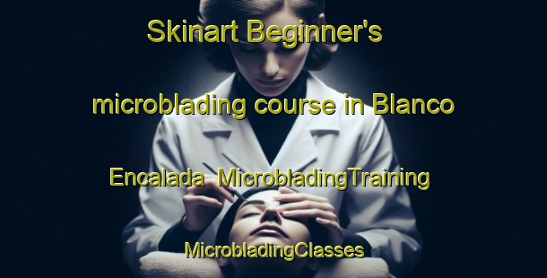 Skinart Beginner's microblading course in Blanco Encalada | #MicrobladingTraining #MicrobladingClasses #SkinartTraining-Argentina