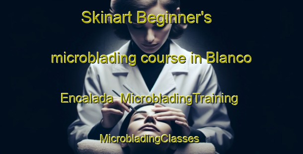 Skinart Beginner's microblading course in Blanco Encalada | MicrobladingTraining | MicrobladingClasses | SkinartTraining-Argentina