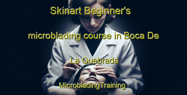 Skinart Beginner's microblading course in Boca De La Quebrada | #MicrobladingTraining #MicrobladingClasses #SkinartTraining-Argentina