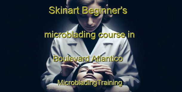 Skinart Beginner's microblading course in Boulevard Atlantico | #MicrobladingTraining #MicrobladingClasses #SkinartTraining-Argentina