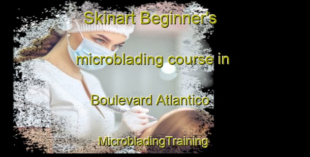 Skinart Beginner's microblading course in Boulevard Atlantico | #MicrobladingTraining #MicrobladingClasses #SkinartTraining-Argentina