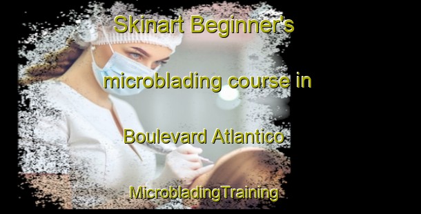 Skinart Beginner's microblading course in Boulevard Atlantico | MicrobladingTraining | MicrobladingClasses | SkinartTraining-Argentina