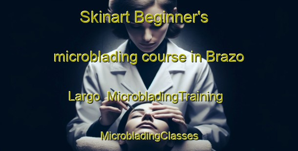 Skinart Beginner's microblading course in Brazo Largo | #MicrobladingTraining #MicrobladingClasses #SkinartTraining-Argentina