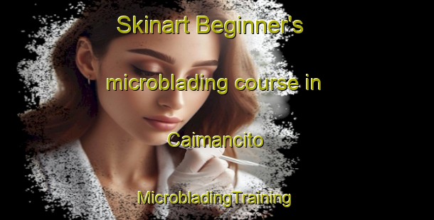 Skinart Beginner's microblading course in Caimancito | #MicrobladingTraining #MicrobladingClasses #SkinartTraining-Argentina