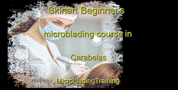 Skinart Beginner's microblading course in Carabelas | #MicrobladingTraining #MicrobladingClasses #SkinartTraining-Argentina