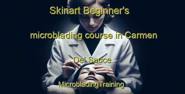 Skinart Beginner's microblading course in Carmen Del Sauce | #MicrobladingTraining #MicrobladingClasses #SkinartTraining-Argentina