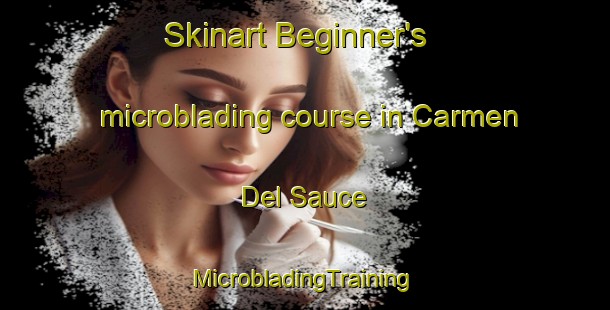 Skinart Beginner's microblading course in Carmen Del Sauce | #MicrobladingTraining #MicrobladingClasses #SkinartTraining-Argentina