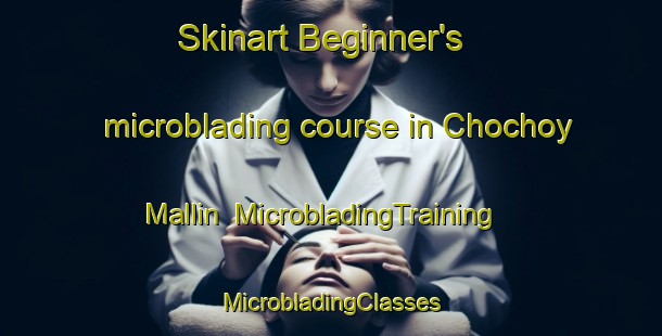 Skinart Beginner's microblading course in Chochoy Mallin | #MicrobladingTraining #MicrobladingClasses #SkinartTraining-Argentina