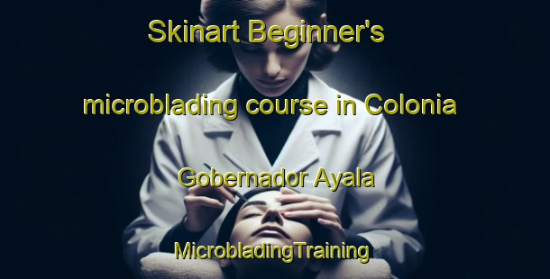 Skinart Beginner's microblading course in Colonia Gobernador Ayala | #MicrobladingTraining #MicrobladingClasses #SkinartTraining-Argentina