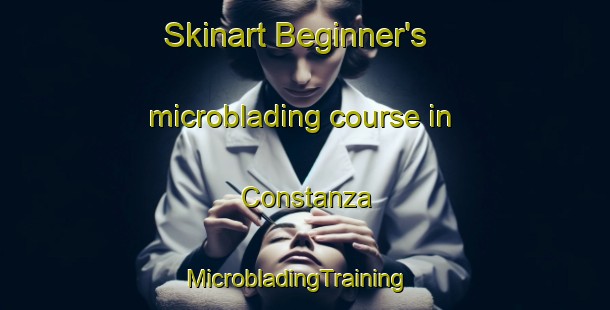 Skinart Beginner's microblading course in Constanza | MicrobladingTraining | MicrobladingClasses | SkinartTraining-Argentina
