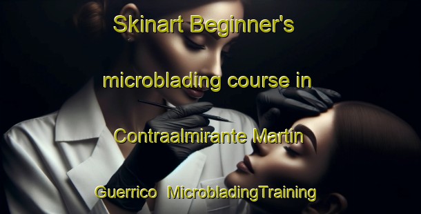 Skinart Beginner's microblading course in Contraalmirante Martin Guerrico | MicrobladingTraining | MicrobladingClasses | SkinartTraining-Argentina