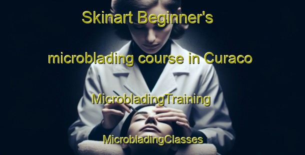 Skinart Beginner's microblading course in Curaco | #MicrobladingTraining #MicrobladingClasses #SkinartTraining-Argentina