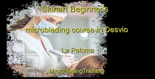 Skinart Beginner's microblading course in Desvio La Paloma | #MicrobladingTraining #MicrobladingClasses #SkinartTraining-Argentina