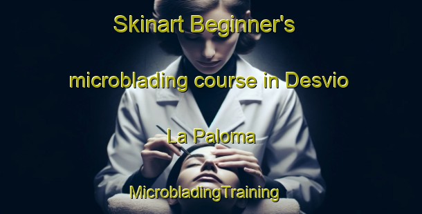 Skinart Beginner's microblading course in Desvio La Paloma | MicrobladingTraining | MicrobladingClasses | SkinartTraining-Argentina