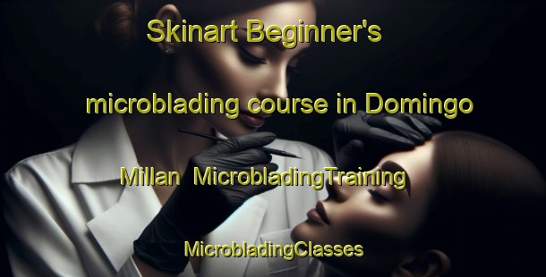 Skinart Beginner's microblading course in Domingo Millan | #MicrobladingTraining #MicrobladingClasses #SkinartTraining-Argentina