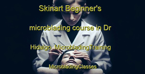 Skinart Beginner's microblading course in Dr  Hidalgo | #MicrobladingTraining #MicrobladingClasses #SkinartTraining-Argentina