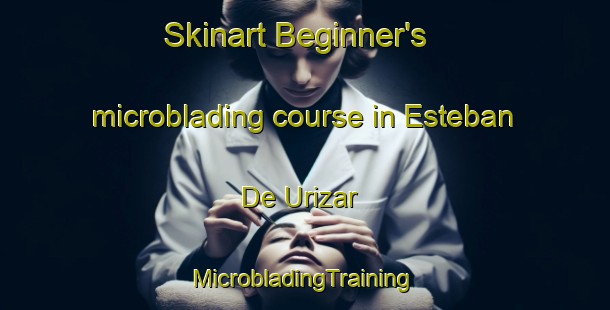 Skinart Beginner's microblading course in Esteban De Urizar | #MicrobladingTraining #MicrobladingClasses #SkinartTraining-Argentina